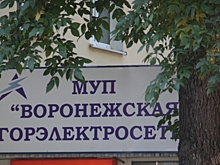 По делу «Воронежской горэлектросети» арестовали экс-главу предприятия Александра Гаврилина