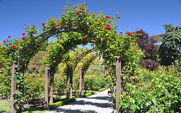 Идеи использования садовых арок на даче