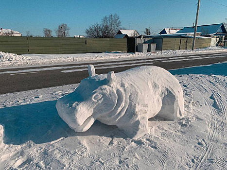 Житель Шимановска украсил улицу фигурами животных из снега