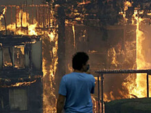 В Калифорнии горят виноградники: уничтожено полторы тысячи домов, есть погибшие