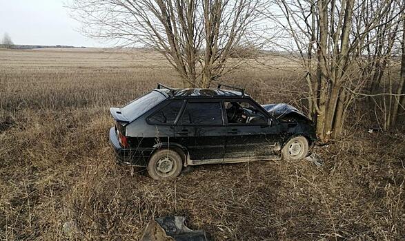 В Малмыжском районе водитель «ВАЗа» вылетел в кювет: пострадали два человека