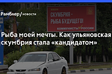«Скумбрия» прошла в ЗС Ульяновской области, мандат может взять сам Сурайкин