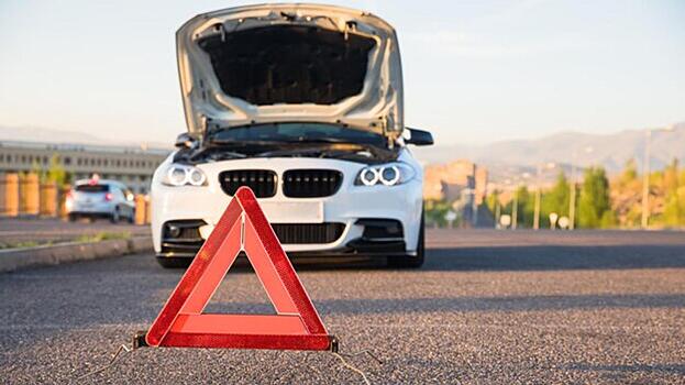 Популярный блогер задержан за наезд на толпу