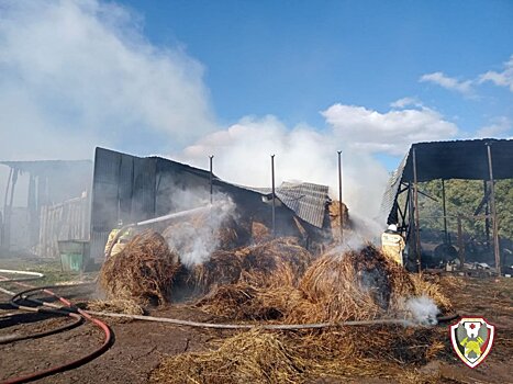 В Удмуртии огонь уничтожил тонны зерна и 100 рулонов сена