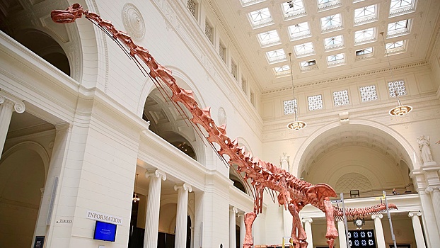Обнаружен самый древний титанозавр в мире