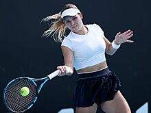 189-я ракетка мира Фетт отстранена от турниров после сдачи положительной допинг-пробы