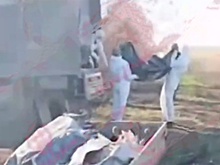 Коц показал, как тела солдат ВСУ из Красноармейска вывозят КамАЗами