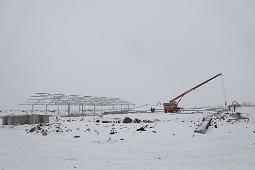 В Пензенской области строят новый комплекс по выращиванию индейки