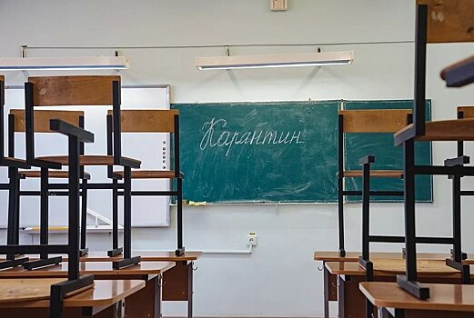 В Бузулуке учеников 5-8 класса с 15 декабря переведут на дистант