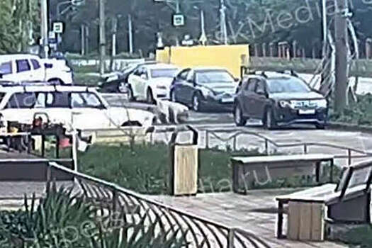 В Липецке алабай напал на женщину и разорвал ее маленькую собачку