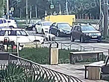 В Липецке алабай напал на женщину и разорвал ее маленькую собачку