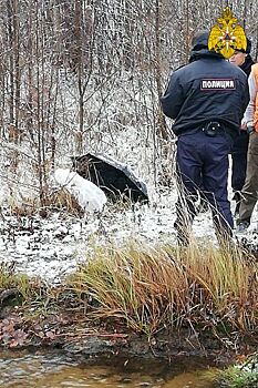 Исчезнувшая костромичка погибла при странных обстоятельствах