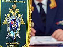 СК проводит проверку по факту нападения пантеры на человека в Подмосковье