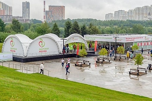 Более 75% людей, гуляющих в парках, принимают участие в активностях «Здоровой Москвы»
