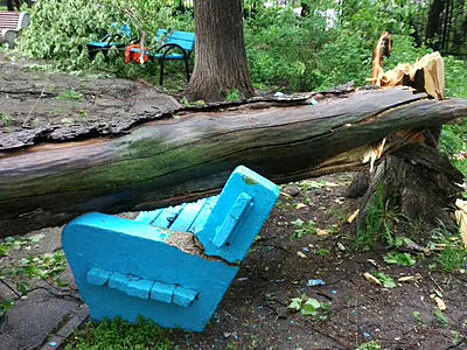 Трагические истории жертв урагана 29 мая в Москве