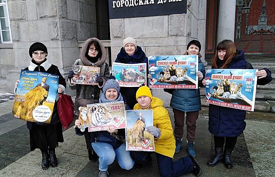 В Екатеринбурге защитники крымских львов готовят пикет у мэрии