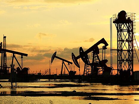 Роснедра ждут значимый прирост запасов нефти и газа на Дальнем Востоке в ближайшие годы