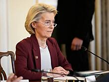 В Германии предупредили ЕС об опасном плане фон дер Ляйен