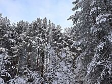 В Челябинской области похолодает до -33 градусов