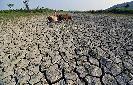 Число жертв аномальной жары в Индии превысило 2400 человек