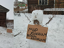 Снеговики «вышли» на пикет: их создателя навестила полиция