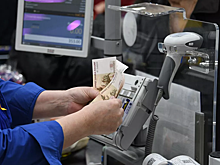 Названы самые востребованные массовые специальности в Петербурге