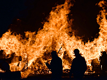 Лесной пожар в Подмосковье полностью ликвидировали