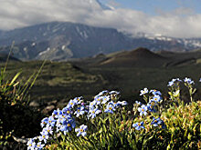 Hokkaido Shimbun (Япония): туры на таинственную Камчатку, горячие источники и аборигены. PR в Японии и крупномасштабное развитие