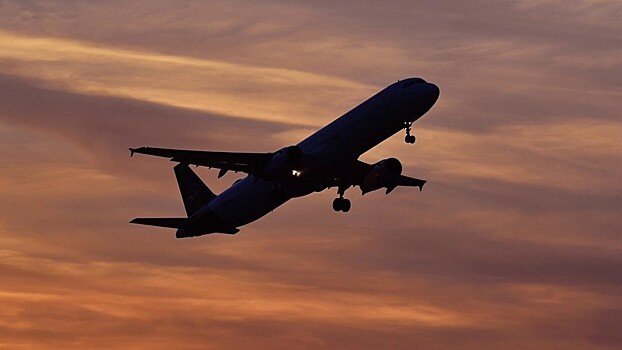 Самолёт Delta Air Lines экстренно сел в Японии