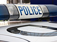 Два часа пытались убить плюшевого тигра: как работает служба 911