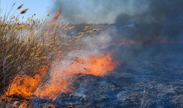 За Волгой загорелась трава на острове Сарпинском
