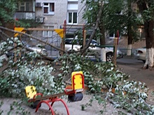 В Ростове на детскую площадку упало дерево