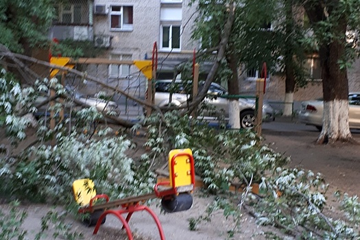 В Ростове на детскую площадку упало дерево