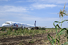 Появилось видео уничтожения севшего в кукурузное поле самолета A321