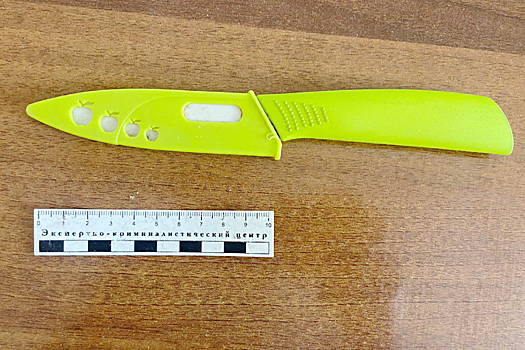 В Красноярске постоялец пансионата ударил пенсионера ножом из-за коляски