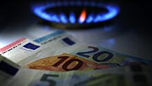 Болгарские пользователи требуют “обед по расписанию”- переход на рублевую оплату газа