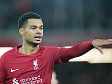 Мартин Киоун: «Гакпо – игрок типа Анри: быстрый и сильный»
