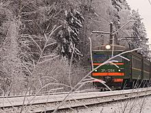 В Омской области на железнодорожных путях погибли два подростка