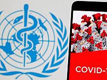 ВОЗ: Мир вышел на плато коронавируса