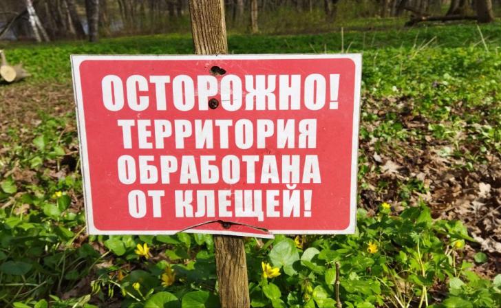 С начала апреля в Курске начнут обрабатывать парки и скверы от клещей