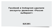 Музыкант Эд Ширан завел в Instagram аккаунт для своих котов