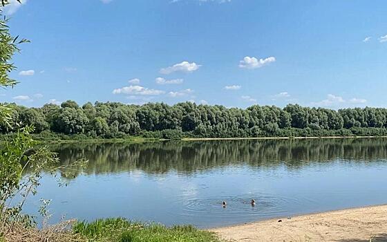 Пляжный сезон в Рязани откроют 1 июня