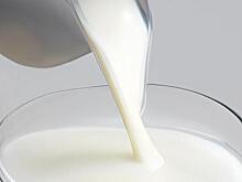 Узбекистан – один из наиболее перспективных рынков для экспорта молочной продукции из России