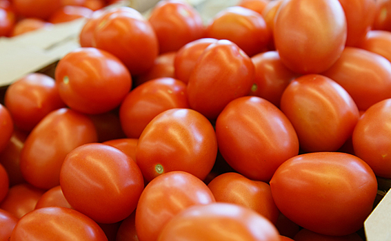 Цены на огурцы и помидоры резко подскочили в Новосибирске