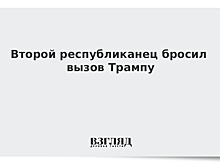 Второй республиканец бросил вызов Трампу