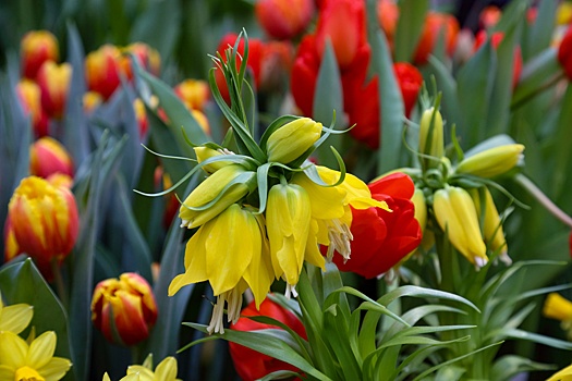 Фестиваль "Воспетая степь" посетили пять тысяч жителей Дона