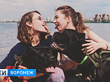 В Воронеже открылась выставка, призывающая помочь бездомным собакам обрести хозяев