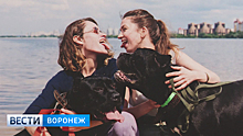 В Воронеже открылась выставка, призывающая помочь бездомным собакам обрести хозяев
