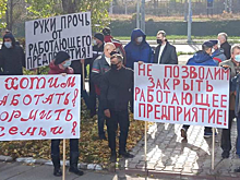 «Мы хотим работать! Кормить семьи!» Саратовский института стекла протестует против банкротства