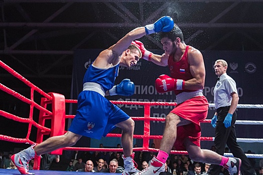 Стали известны победители чемпионата Сибири по боксу имени Александра Малунцева